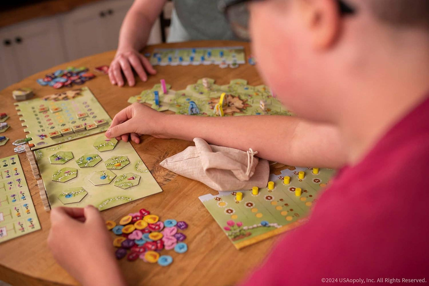 Gnome Hollow Board Game